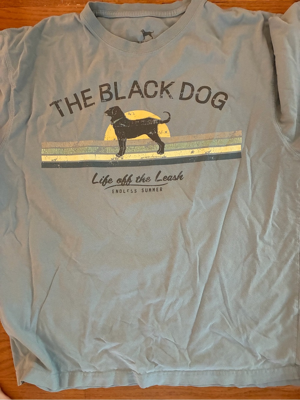 The Black Dog Light Blue Tee